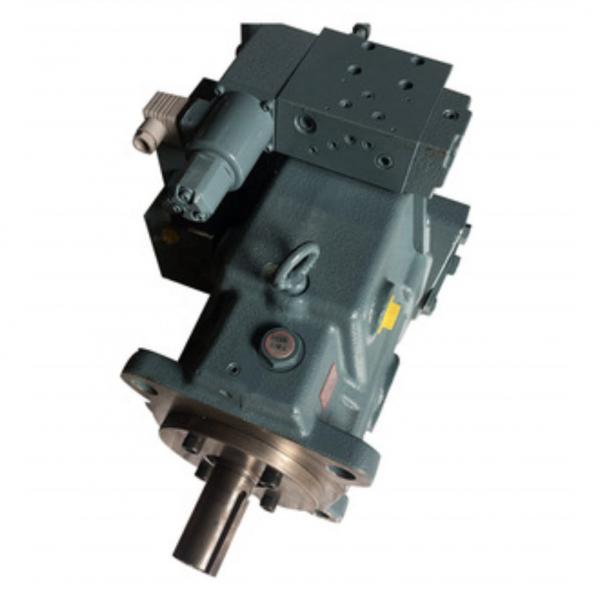 Yuken A145-L-R-01-H-S-60 Piston pump #1 image