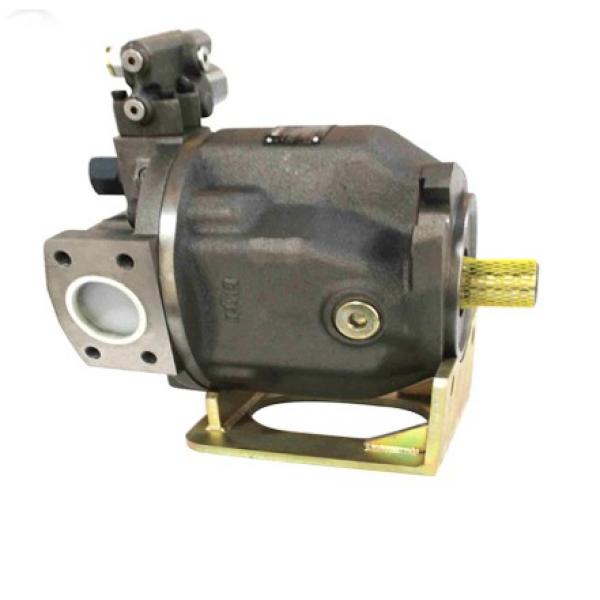 PAKER PV270 R1K1T1NMMC Piston Pump #1 image