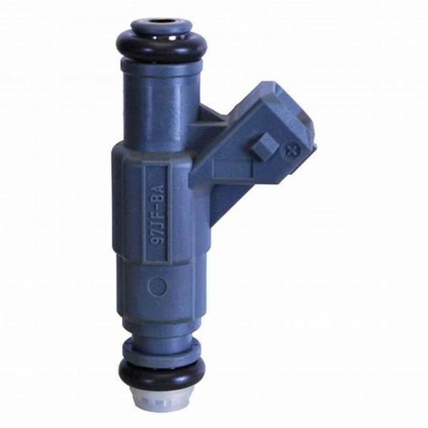 BOSCH 166008H800 injector #1 image